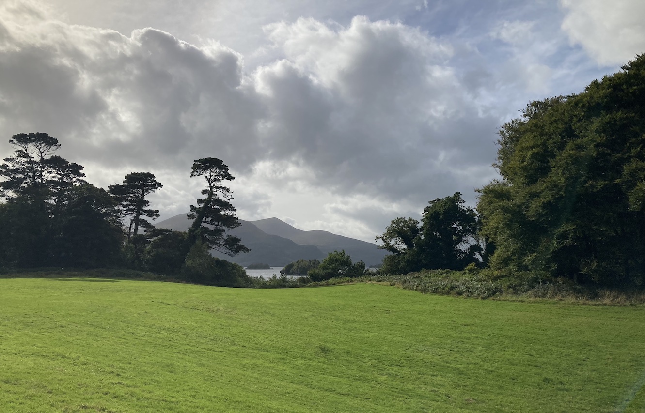 Muckross Abbey Park (Ireland)